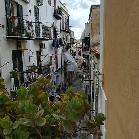 Apartamento Amendola24